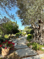 Yalıkavak’ta havuzlu ve misafirhaneli otantik taş villa – Img