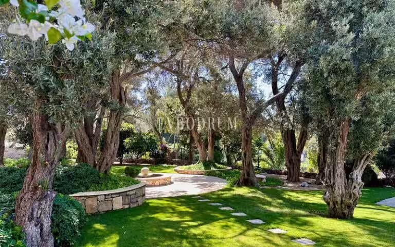 Denize 50 Metrelik Mesafede Kiralık Lüks Villa – Img