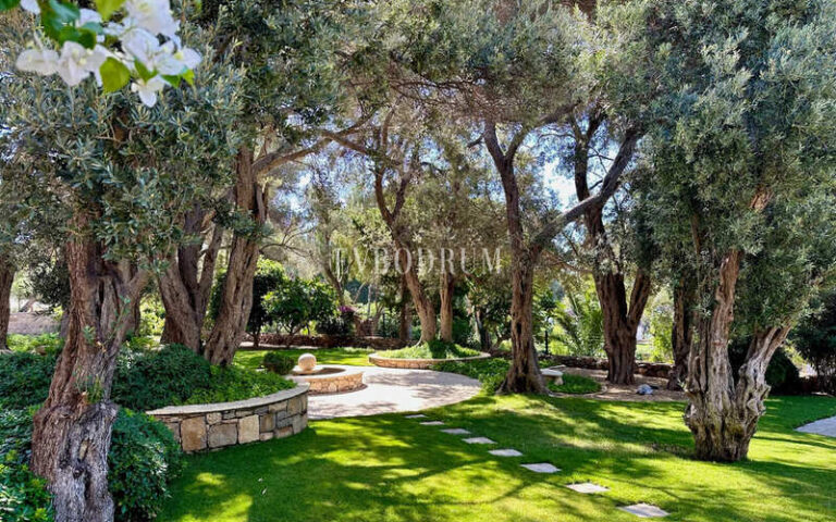 Denize 50 Metrelik Mesafede Kiralık Lüks Villa – Img