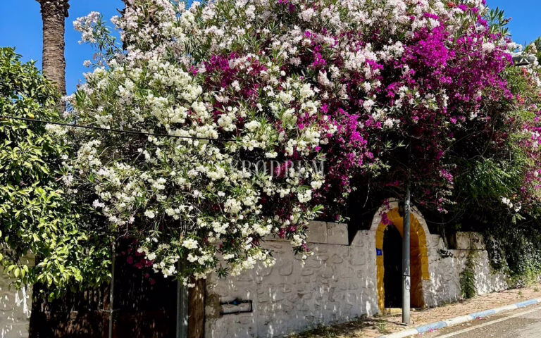 Bodrum, Yeniköy’de geniş, karakteristik kiralık daire – Img