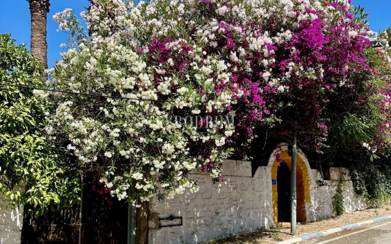 Bodrum, Yeniköy’de geniş, karakteristik kiralık daire – Img