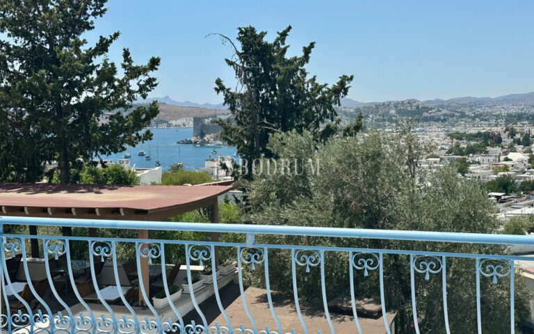 Bodrum’un kalbinde teraslı, orijinal Bodrum evi – Original Bodrum House In The Heart Of The City 688A0E0909E6B