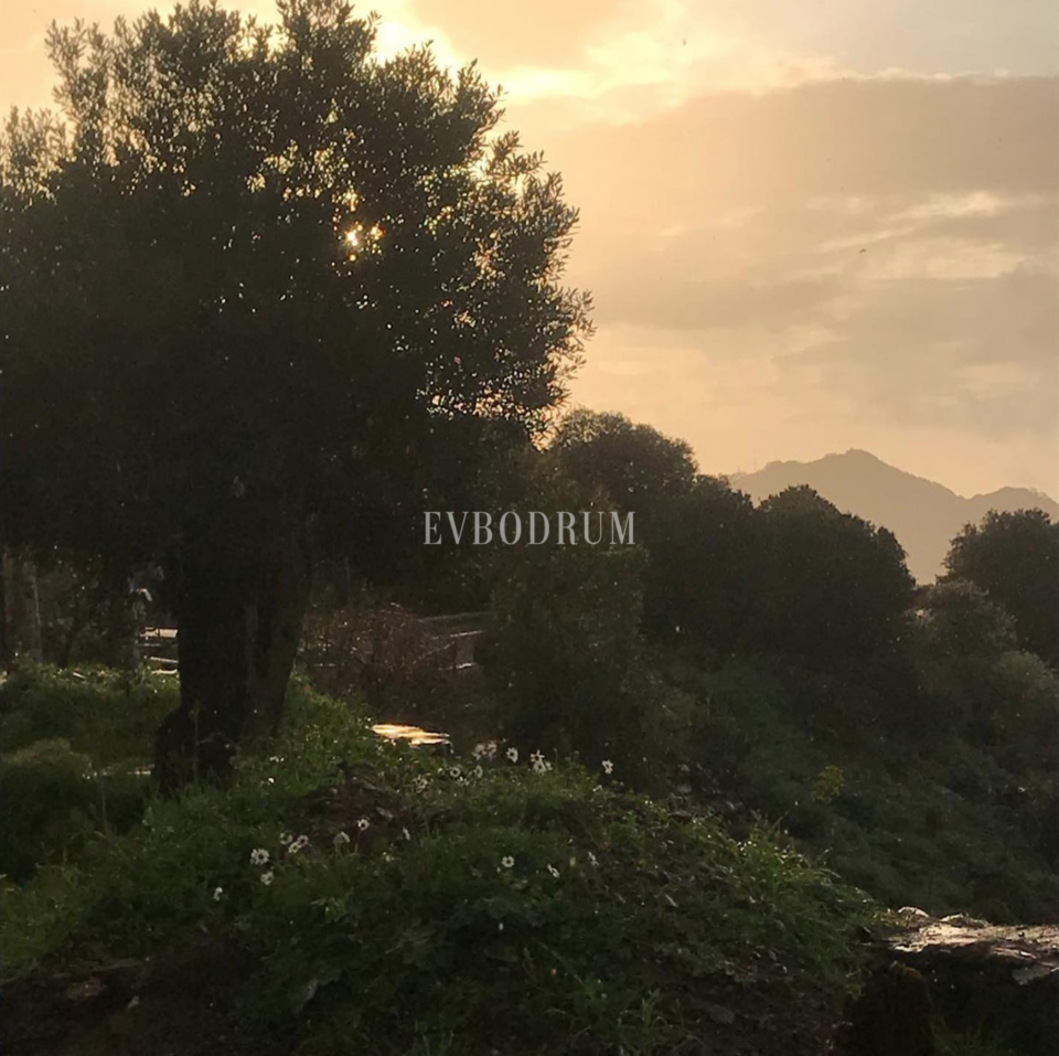 10.000 m2 Arsa İçinde 8 Bağımsız Taş Ev – Screen Shot At ..