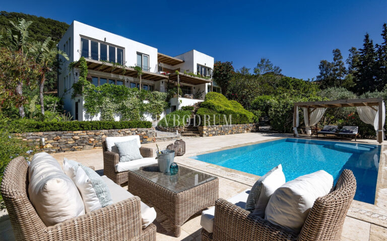 Misafir evi, havuz ve 5.025 m2 peyzajlı bahçesiyle eşsiz villa – Telsiz2