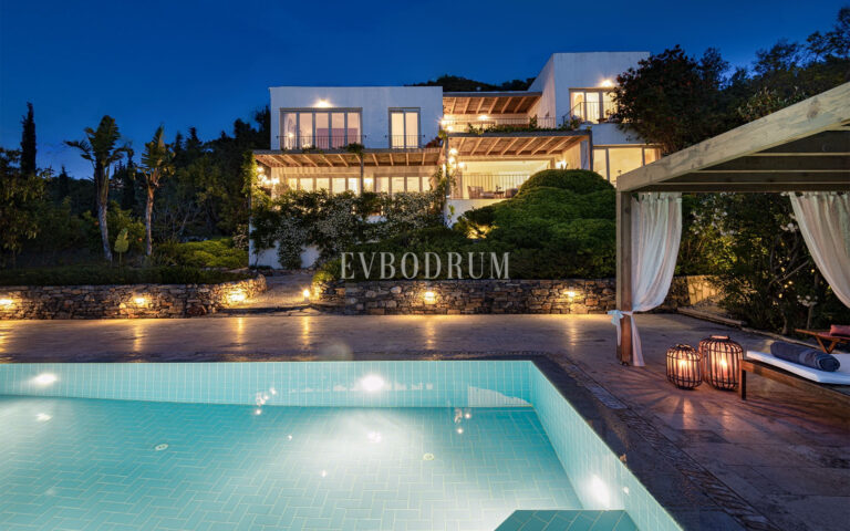 Misafir evi, havuz ve 5.025 m2 peyzajlı bahçesiyle eşsiz villa – Telsiz3