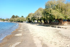 Bahçeli, özel havuzlu ve panoramik manzaralı villa