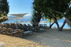 Yalıkavak'ta Denize Sıfır Mülk: Havuzlu, Bahçeli Büyük Villa ve Kumsala Doğrudan Erişimli Apart Otel