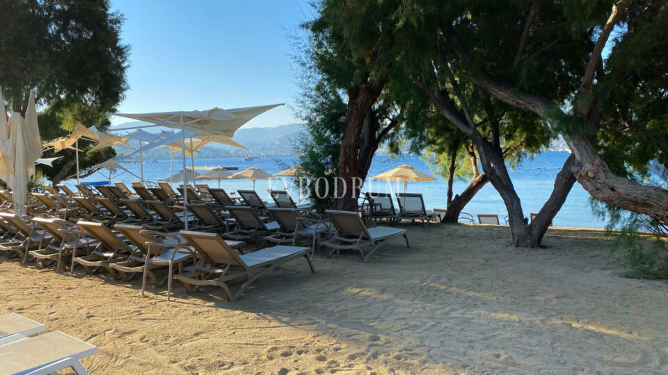 Yalıkavak'ta Denize Sıfır Mülk: Havuzlu, Bahçeli Büyük Villa ve Kumsala Doğrudan Erişimli Apart Otel – Görsel 5