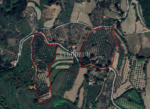 40.000 m² Arazi, Taş Ev ve Entegre Ceviz Üretim Tesisi – Görsel 6