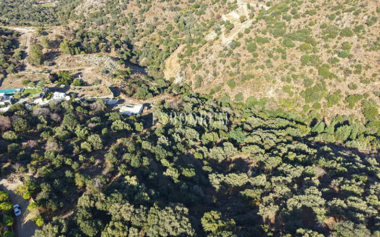 Bodrum Geriş’te Yatırımlık 13.055 m² Arsa – Görsel 15