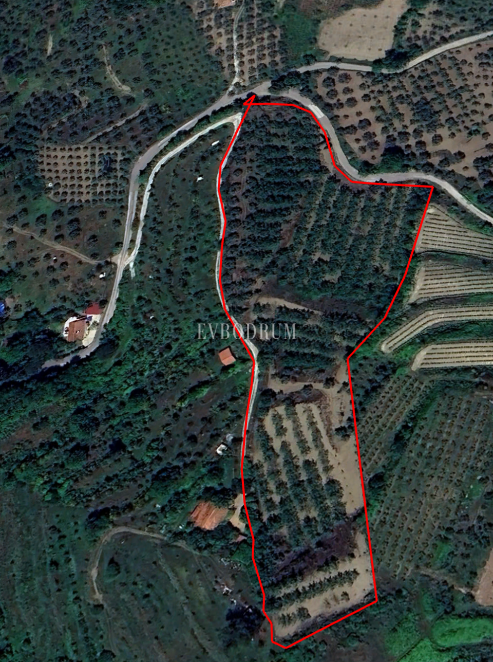 40.000 m² Arazi, Taş Ev ve Entegre Ceviz Üretim Tesisi – Görsel 6