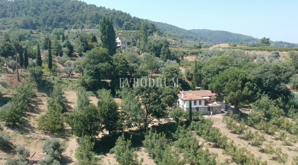 40.000 m² Arazi, Taş Ev ve Entegre Ceviz Üretim Tesisi – Görsel 6