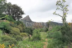 Bodrum Yakaköy'de Tarımsal Üretime Uygun Araziler