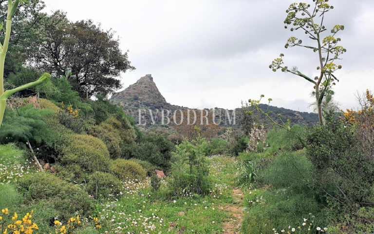 Screen-Shot-2026-01-21-at-14.53.28