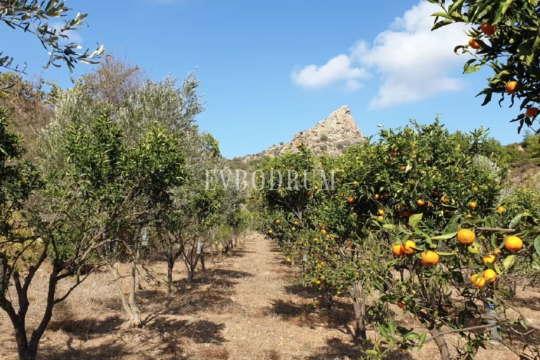 Screen-Shot-2026-01-21-at-14.53.36