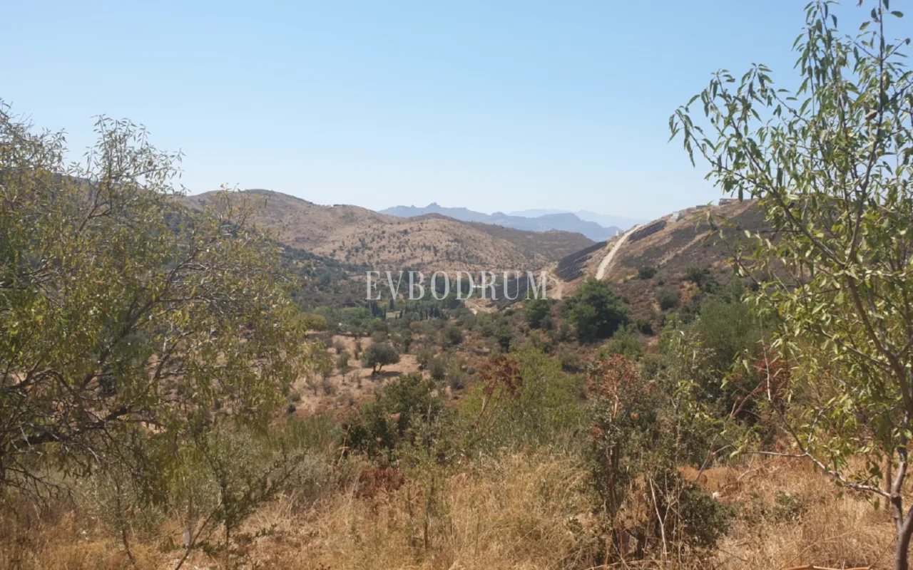 Bodrum Yakaköy'de Tarımsal Üretime Uygun Araziler