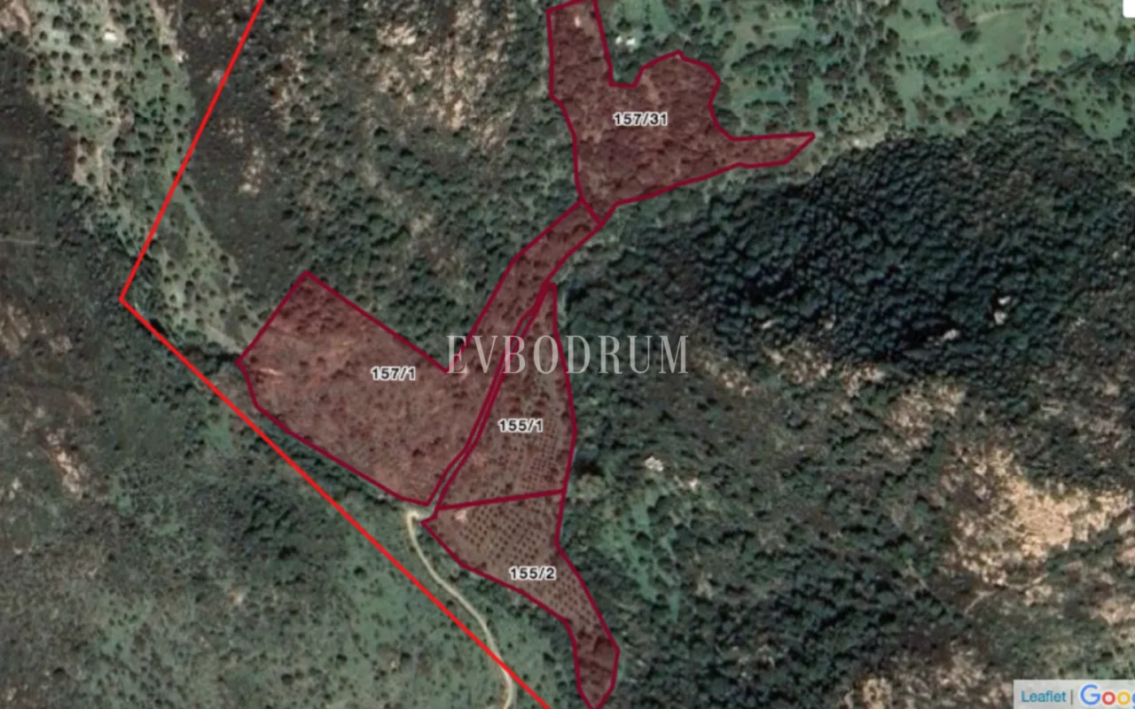 Bodrum Yakaköy'de Tarımsal Üretime Uygun Araziler