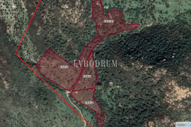 Screen-Shot-2026-01-21-at-14.53.56