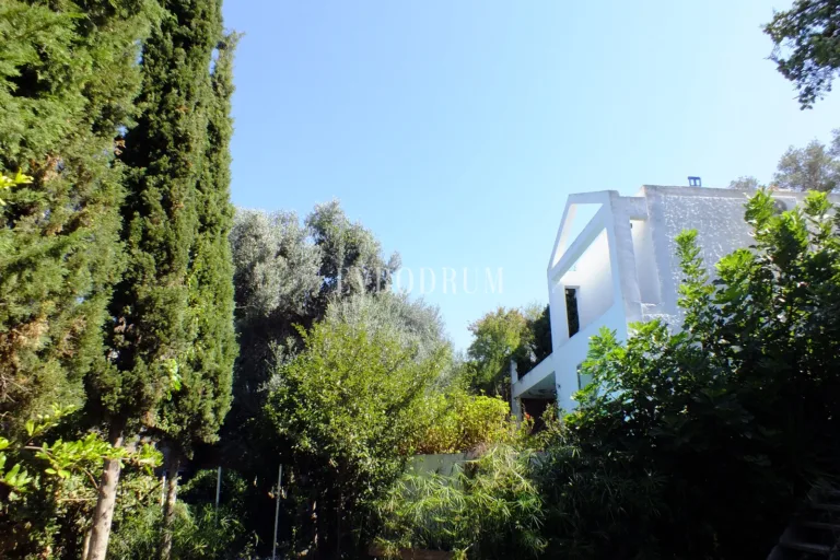 WhatsApp-Image-2025-10-25-at-11.49.45-3