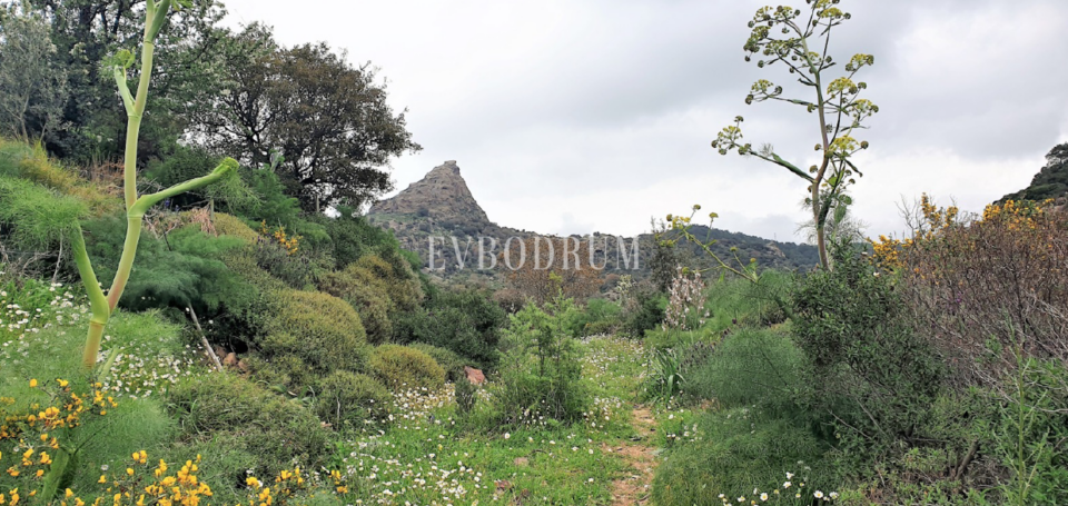 Bodrum Yakaköy'de Tarımsal Üretime Uygun Araziler – Screen Shot At ..