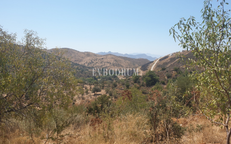 Bodrum Yakaköy'de Tarımsal Üretime Uygun Araziler – Screen Shot At ..