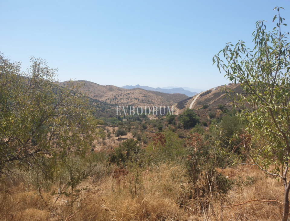 Bodrum Yakaköy'de Tarımsal Üretime Uygun Araziler – Screen Shot At ..