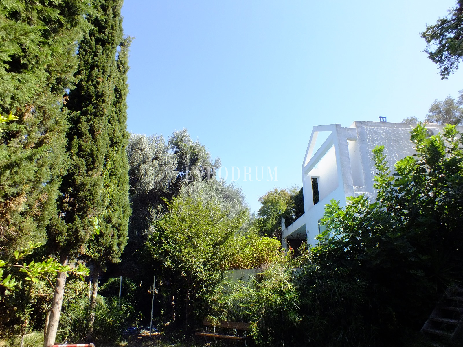 WhatsApp-Image-2025-10-25-at-11.49.45-3