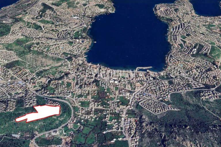 Screen-Shot-2026-02-04-at-11.12.53