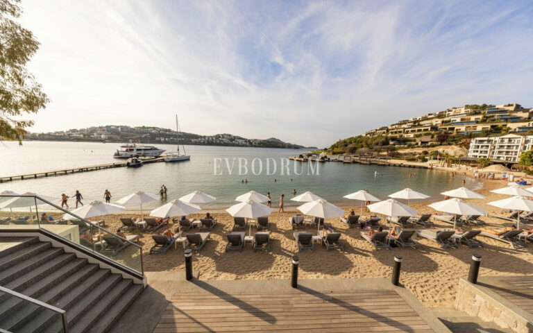 WhatsApp-Image-2026-03-10-at-16.46.32-17-1