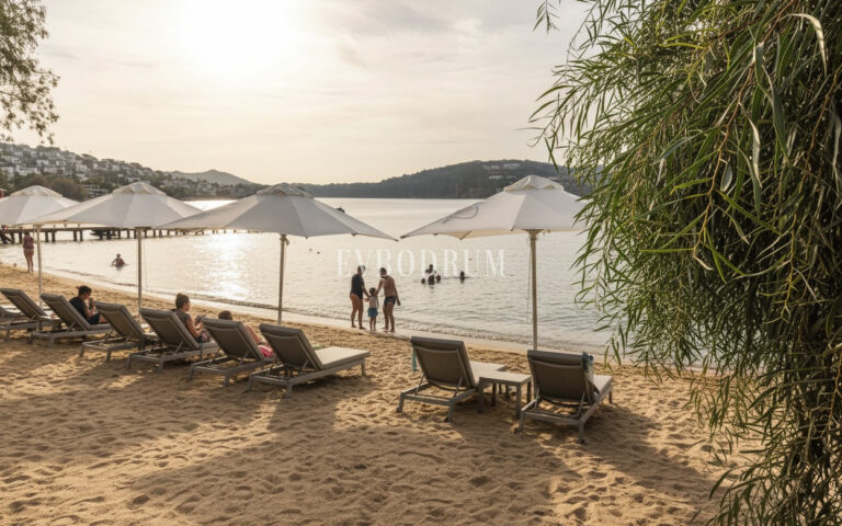 WhatsApp-Image-2026-03-10-at-16.46.32-18-1