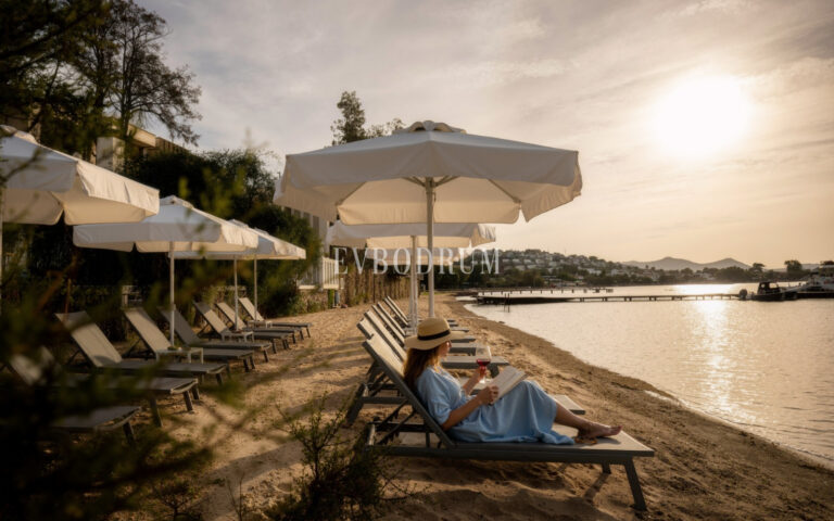 WhatsApp-Image-2026-03-10-at-16.46.32-19-1