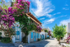 Bodrum Homes & Architecture