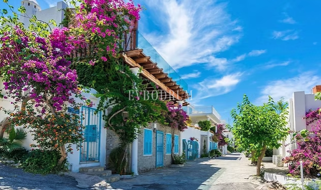 Bodrum Evleri ve Mimarisi