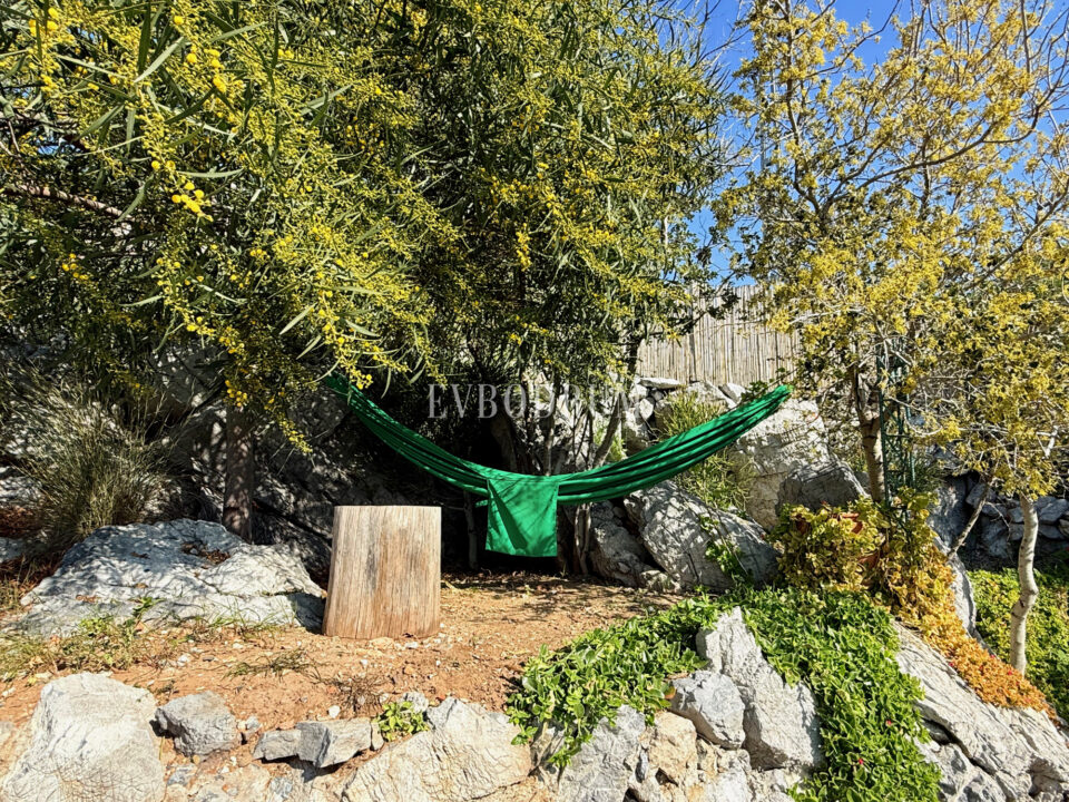 hammock at the garden
