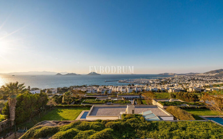 WhatsApp-Image-2026-04-08-at-14.03.12-2