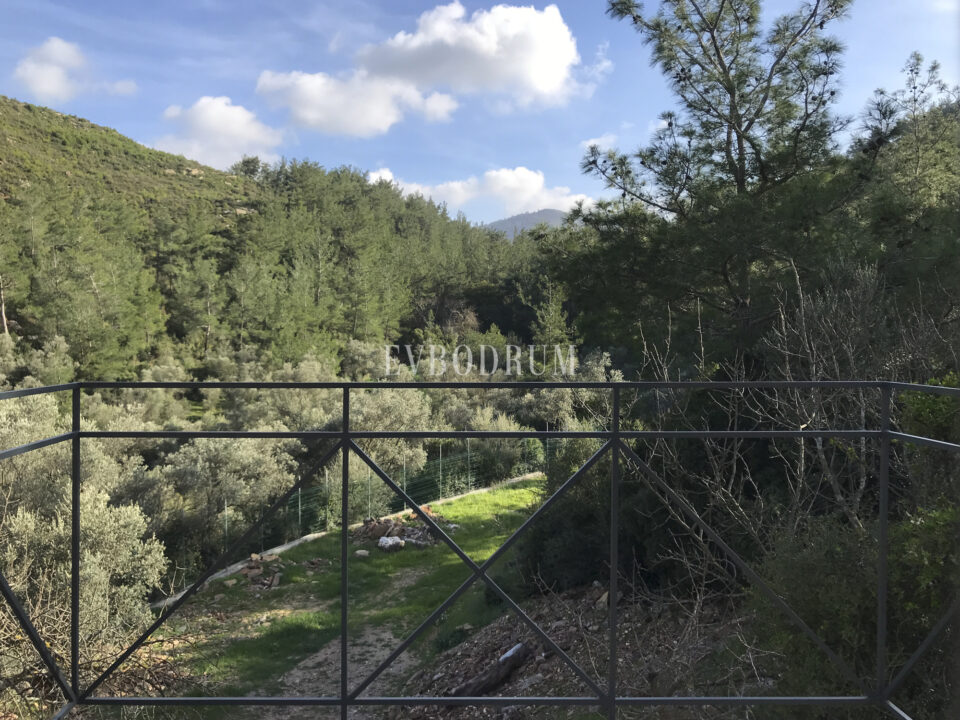 Kısırlar Köyü’nde Orman Sınırında Mimari Tasarım Müstakil Ev