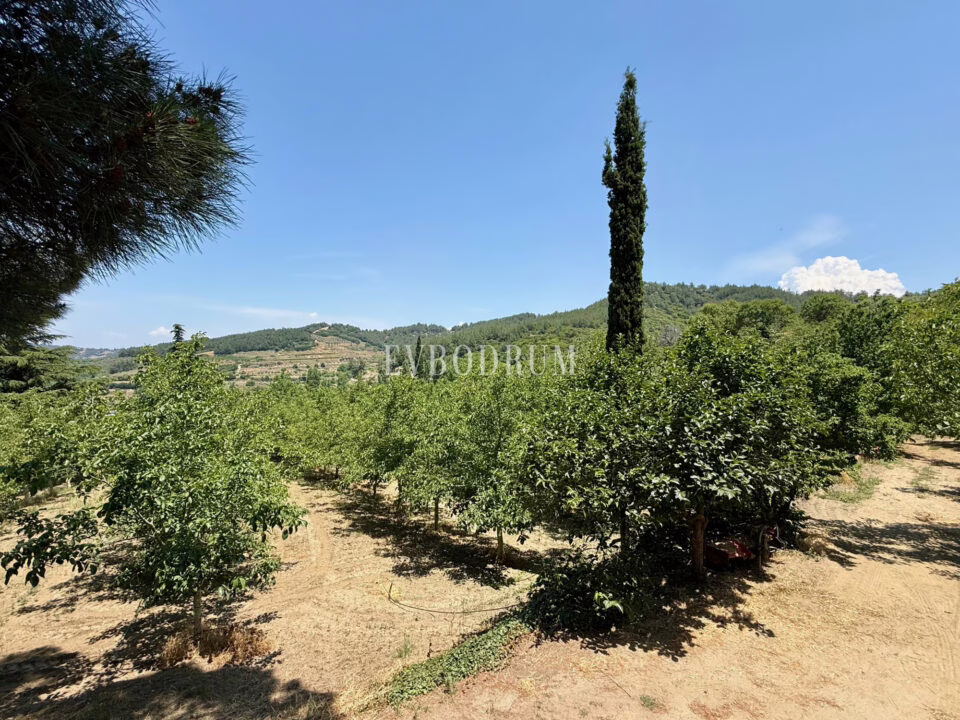 40.000 m² Arazi, Taş Ev ve Entegre Ceviz Üretim Tesisi – Photo 22