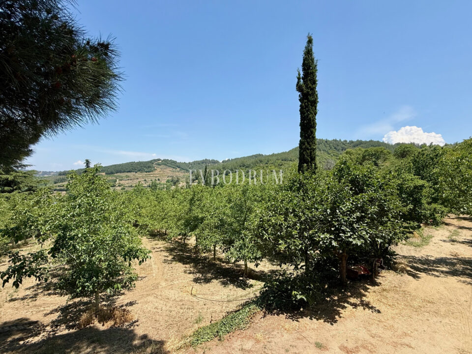 40.000 m² Arazi, Taş Ev ve Entegre Ceviz Üretim Tesisi