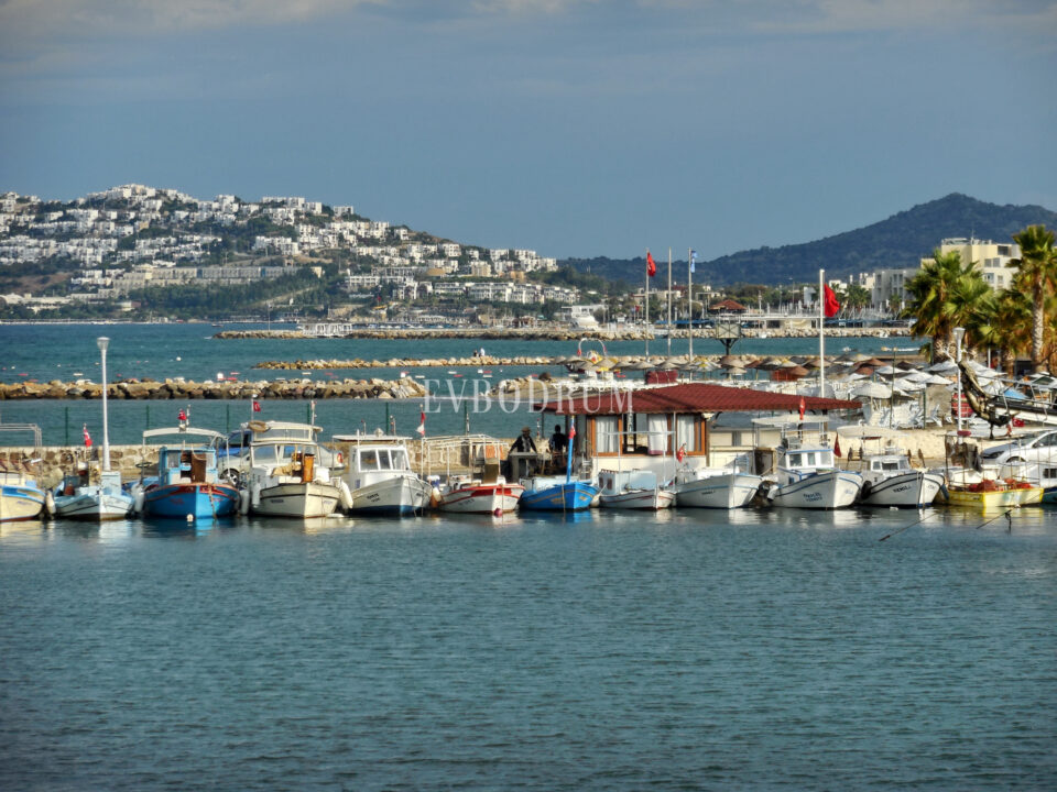Turgutreis fishing harbour, with the bay and white-house hills opposite