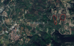 40.000 m² Arazi, Taş Ev ve Entegre Ceviz Üretim Tesisi