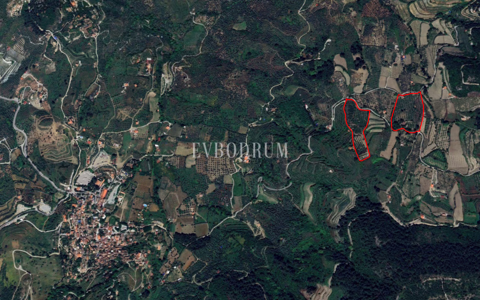 40.000 m² Arazi, Taş Ev ve Entegre Ceviz Üretim Tesisi – Photo 28