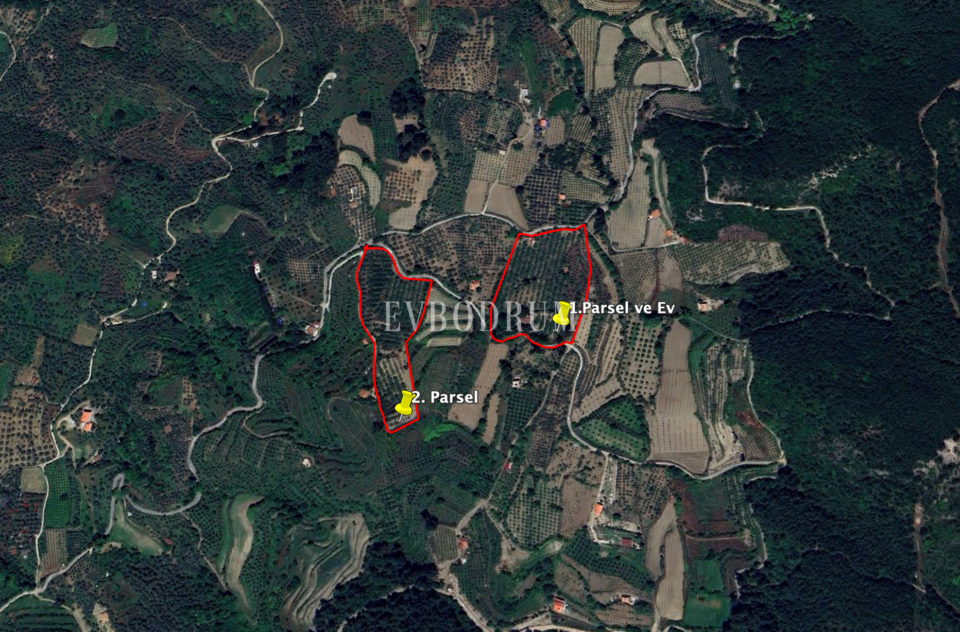 40.000 m² Arazi, Taş Ev ve Entegre Ceviz Üretim Tesisi