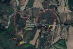 40.000 m² Arazi, Taş Ev ve Entegre Ceviz Üretim Tesisi