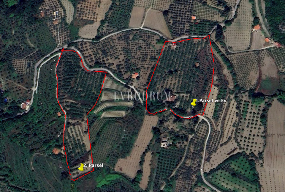 40.000 m² Arazi, Taş Ev ve Entegre Ceviz Üretim Tesisi – Photo 30